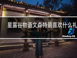 星露谷物语文森特最喜欢什么礼物