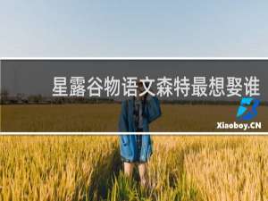 星露谷物语文森特最想娶谁