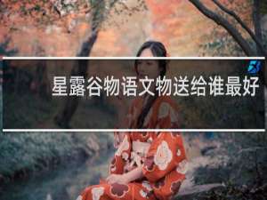 星露谷物语文物送给谁最好