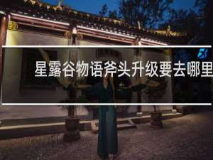 星露谷物语斧头升级要去哪里