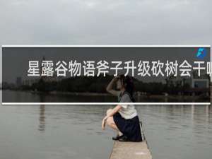 星露谷物语斧子升级砍树会干嘛