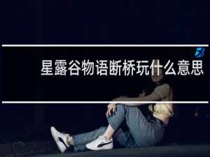 星露谷物语断桥玩什么意思