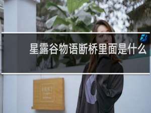 星露谷物语断桥里面是什么