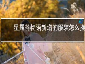 星露谷物语新增的服装怎么换