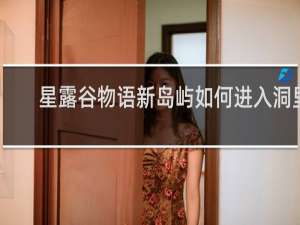 星露谷物语新岛屿如何进入洞里