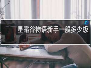 星露谷物语新手一般多少级