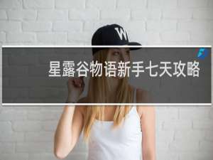 星露谷物语新手七天攻略