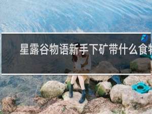 星露谷物语新手下矿带什么食物