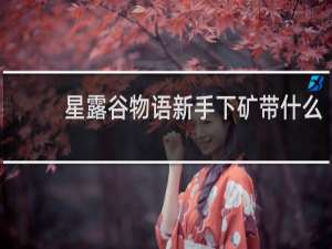 星露谷物语新手下矿带什么