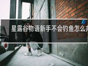 星露谷物语新手不会钓鱼怎么办