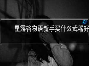 星露谷物语新手买什么武器好