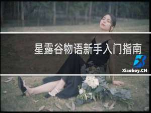 星露谷物语新手入门指南