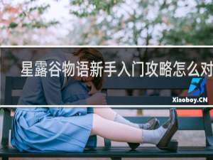 星露谷物语新手入门攻略怎么对话