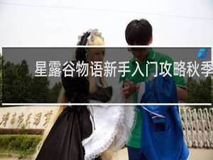 星露谷物语新手入门攻略秋季