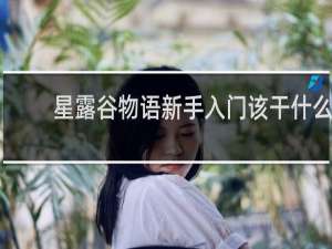 星露谷物语新手入门该干什么