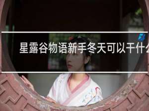星露谷物语新手冬天可以干什么