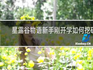 星露谷物语新手刚开学如何挖矿