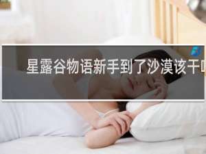 星露谷物语新手到了沙漠该干啥