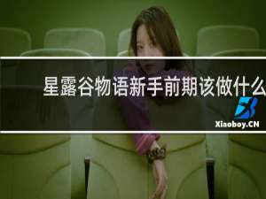 星露谷物语新手前期该做什么