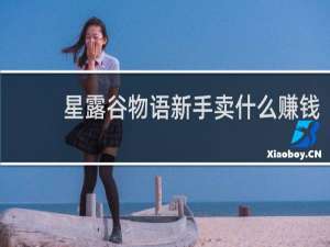 星露谷物语新手卖什么赚钱