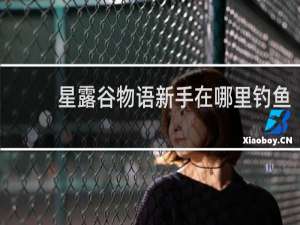 星露谷物语新手在哪里钓鱼