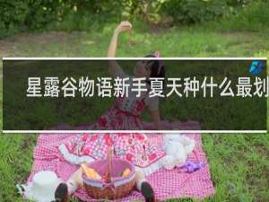 星露谷物语新手夏天种什么最划算