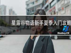 星露谷物语新手夏季入门攻略