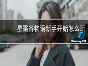 星露谷物语新手开始怎么玩