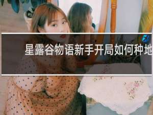 星露谷物语新手开局如何种地