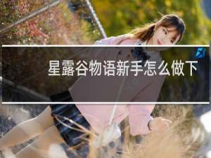 星露谷物语新手怎么做下