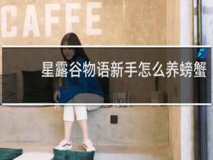 星露谷物语新手怎么养螃蟹