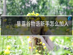 星露谷物语新手怎么加入