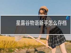 星露谷物语新手怎么存档