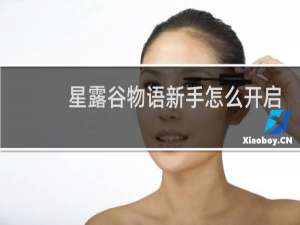 星露谷物语新手怎么开启