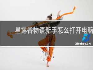 星露谷物语新手怎么打开电脑