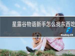 星露谷物语新手怎么找东西吃