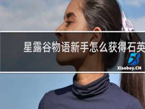 星露谷物语新手怎么获得石英