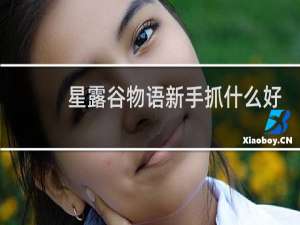 星露谷物语新手抓什么好