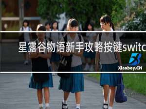 星露谷物语新手攻略按键switch