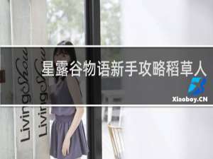 星露谷物语新手攻略稻草人