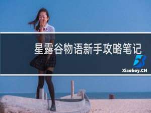 星露谷物语新手攻略笔记