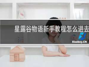 星露谷物语新手教程怎么进去