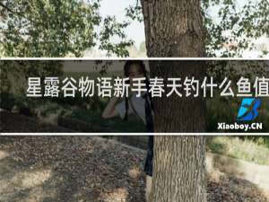 星露谷物语新手春天钓什么鱼值钱