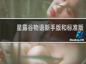 星露谷物语新手版和标准版