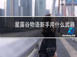 星露谷物语新手用什么武器