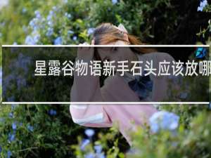 星露谷物语新手石头应该放哪