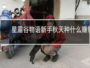 星露谷物语新手秋天种什么赚钱