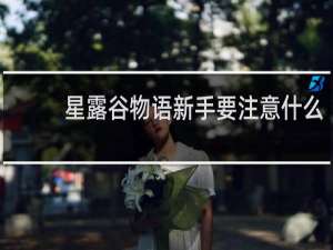 星露谷物语新手要注意什么