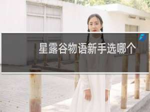 星露谷物语新手选哪个