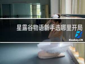 星露谷物语新手选哪里开局